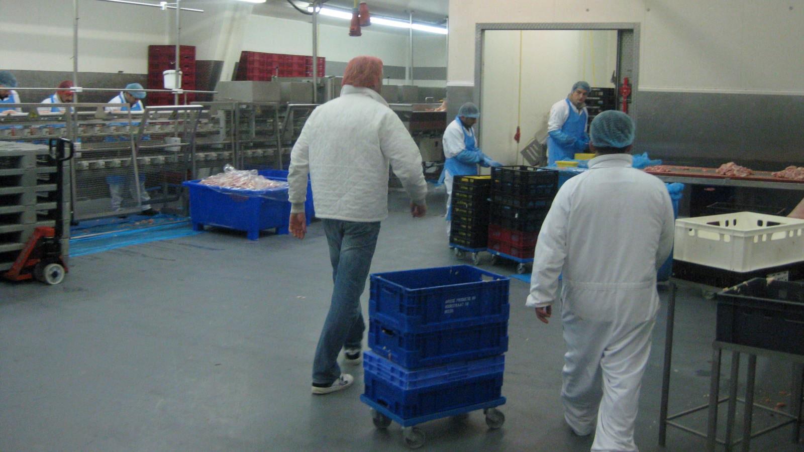 Men with hairnet walking in the production area of Scheria
